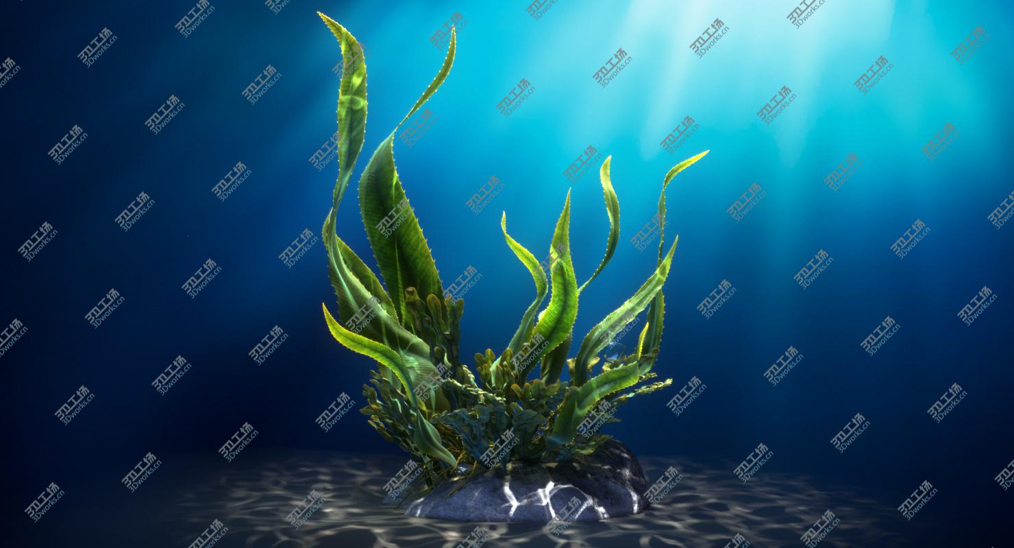 images/goods_img/20210313/Seaweed Animated/2.jpg